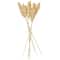 Dried Corn Maize Natural Foliage with Long Stems